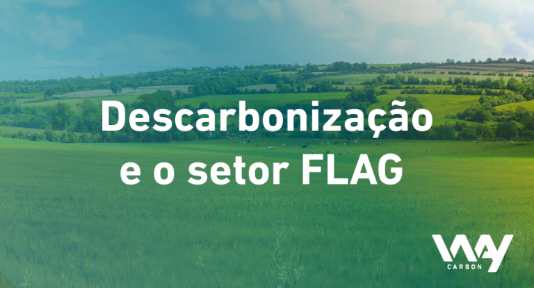 Blog PT Descarbonizacao FLAG